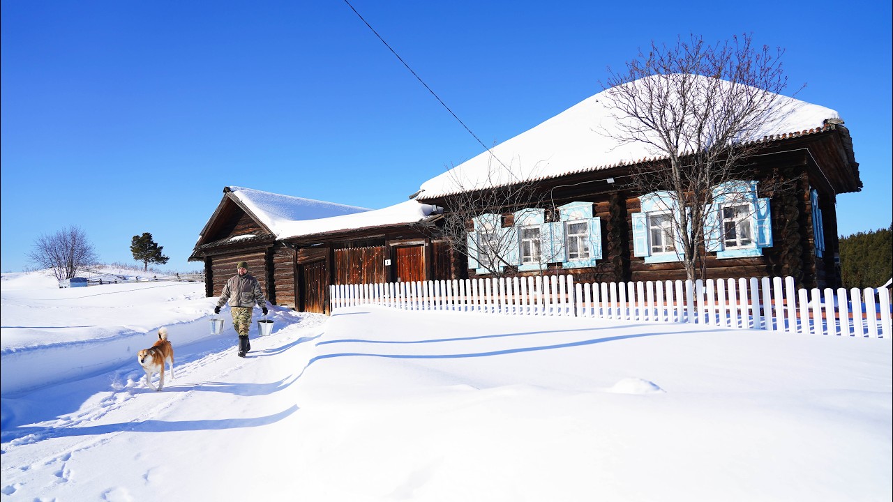 БОЛЬШАЯ ЖИЗНЬ В МАЛЕНЬКОЙ ДЕРЕВНЕ | ПРОВОДИМ ЭЛЕКТРИЧЕСТВО | ЗАПАС ДРОВ НА 5 З