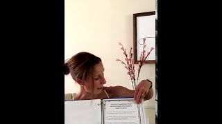 How to ORGANIZE your EMERGENCY SUB PLAN BINDER!