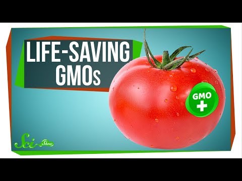 download lagu mp3 mp4 Tomato Was Once Called This, download lagu Tomato Was Once Called This gratis, unduh video klip Tomato Was Once Called This