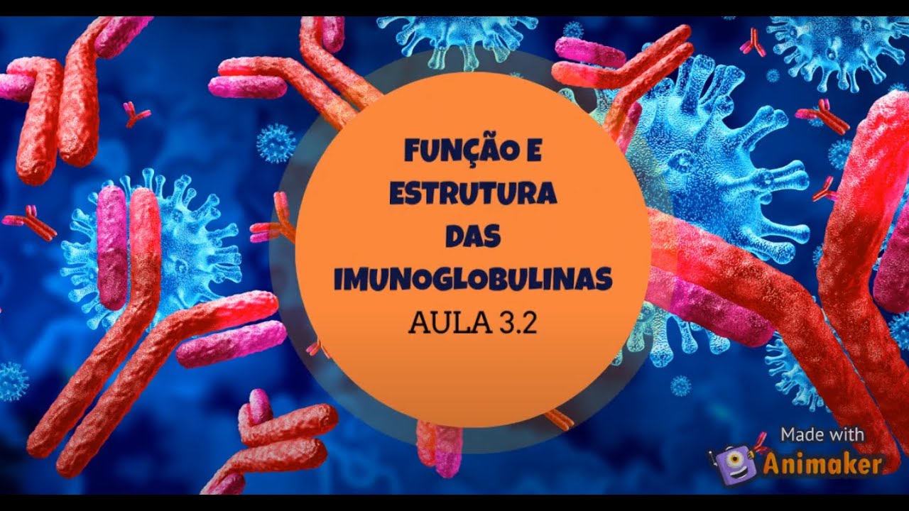 (imunologia 3.2) Função e estrutura das imunoglobulinas