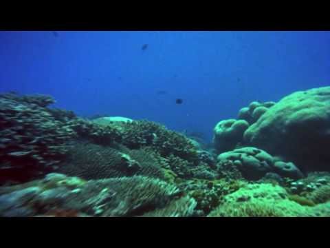 Third Person Lurkin - Cold Light