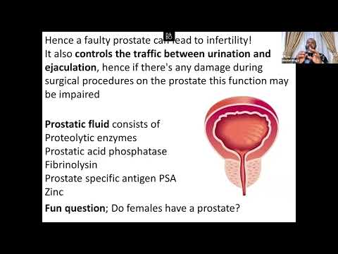 Protect Your Throne The Ultimate Guide to Prostate Health