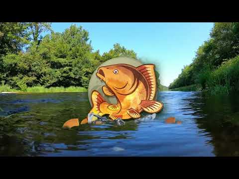 Carpcraft: Carp Fishing video