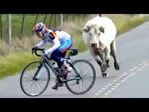 Incearca sa nu razi 😄 Faze comice tari 😄 Sperieturi haioase 😄 Citeste descrierea