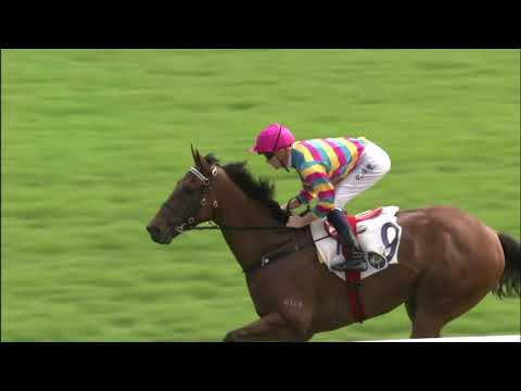 29/11/2020 (221) Super Axiom -   C Schofield