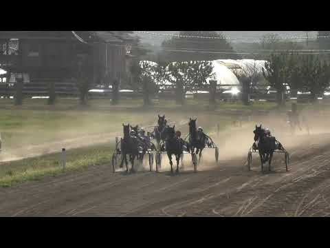 Trka "Orkestar Mileta Moravca" 03.10.2020 Arsene Lupin - Bojan Marjanović