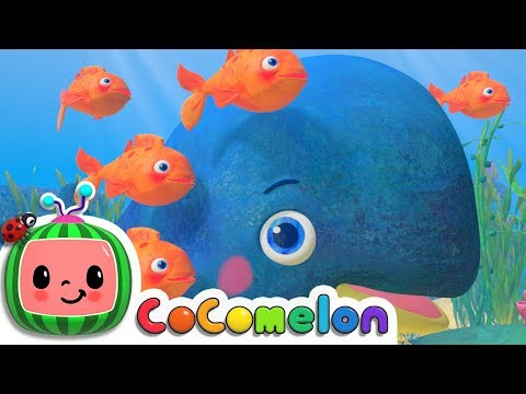 Baby Blue Whale Song | CoComelon Nursery Rhymes & Kids Songs