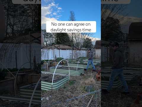 The Benefit of Daylight Savings Time