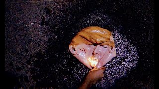 NEO 10Y v. NIHIL: The Kid That Killed Tr*mp (Concept Film)