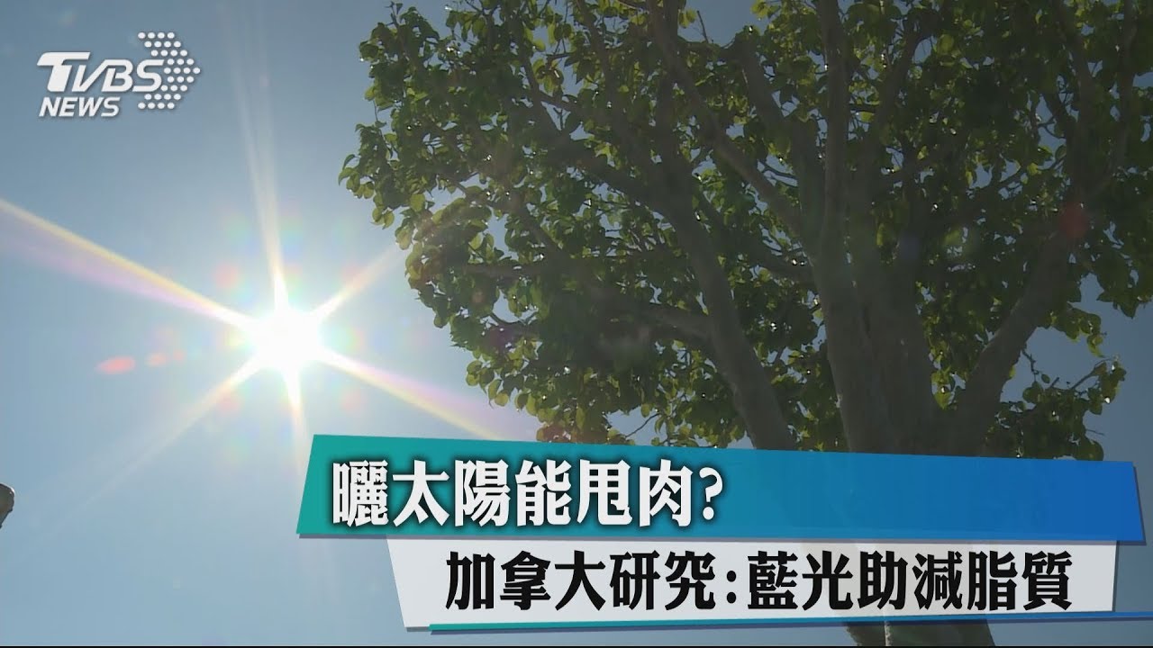 懶人減重新招?研究:曬太陽可「縮小脂肪」