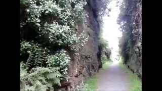 Scrabo Quarry walks Newtownards Co Down