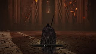 Me n twin jump Radagon and Elden Beast