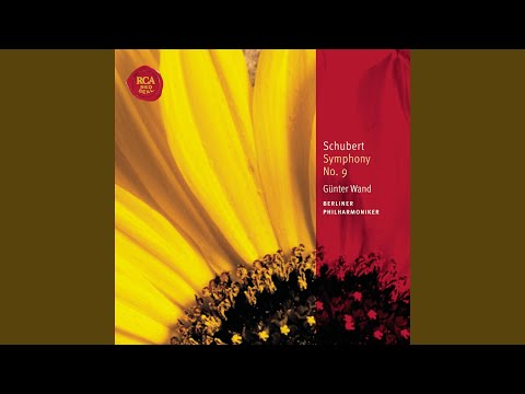 Symphony No. 9 in C major, D. 944 "The Great": Andante con moto