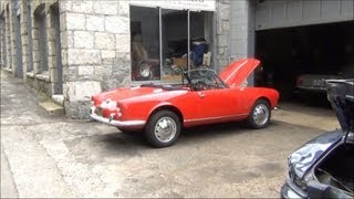 preview picture of video 'A-maze-ing Alfas Unlimited'