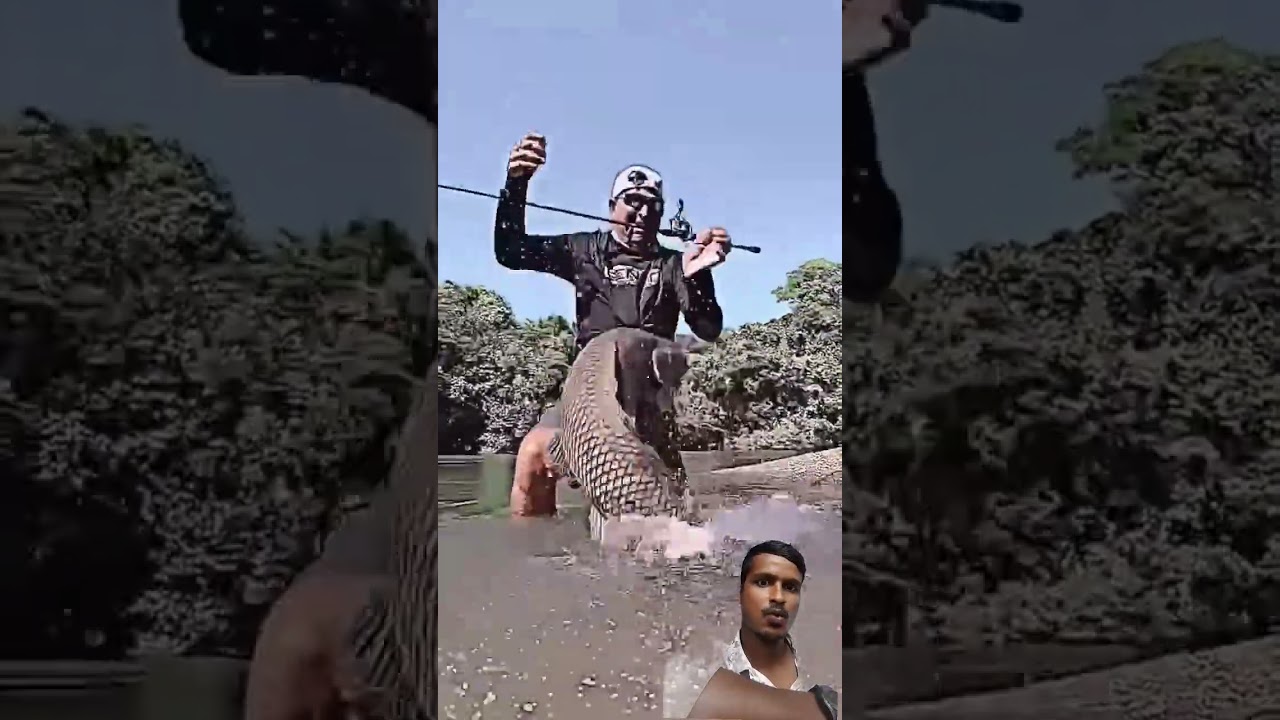 kabirul Khan WhatsApp status #nxt1up #animals #comedymusic #wildlife #birds #facts #funnysong