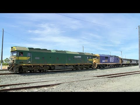 Pacific National Standard Gauge Grain Hoppers - PoathTV Australian Trains & Railways