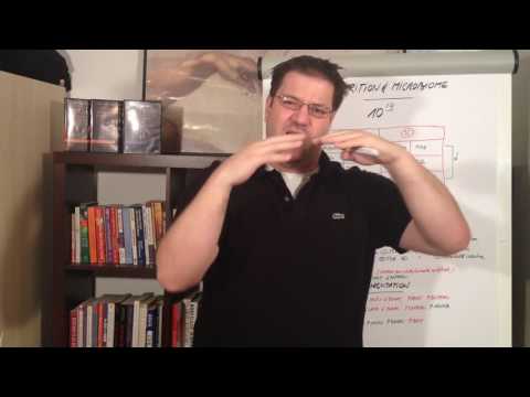 Les effets des aliments sur le microbiome