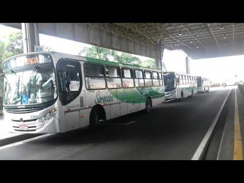 Trio de Caio apache vip II OF 1722 MB (2011)