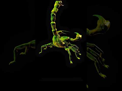 CGI Animated Short Film: #rolex #cgi #viral #new #4k #top5 New cgi Animation 4k video.#animeedit