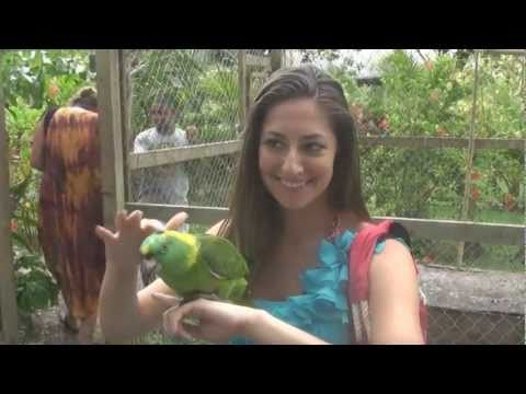 Carnival Cruise May 2011