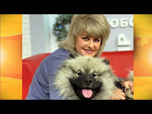 Живая среда