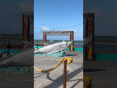 CONHEÇA a PEDRA OCA na PRAIA de CAMURUPIM #natalrn #praiasbrasil #riograndedonorte