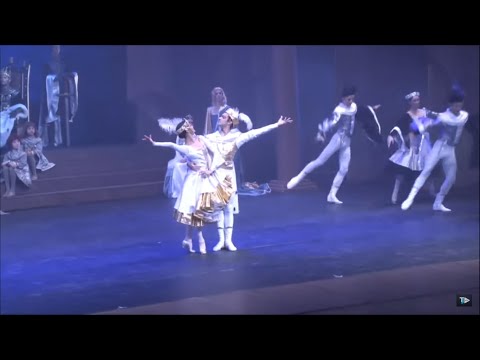 TJ UFSC 29/08/19 - Reunião Reitoria UFSC // Festival de Dança de Florianópolis