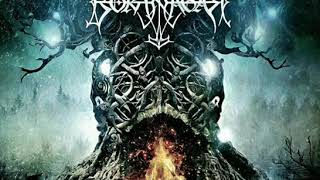 BORKNAGAR - Gods of my world