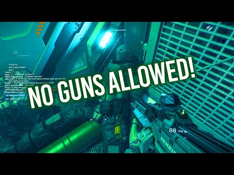 SECURITY GUARD OF JUMPTOWN: NO WEAPONS ALLOWED INSIDE!! - STAR CITIZEN