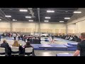 Vault from regionals. 9.6