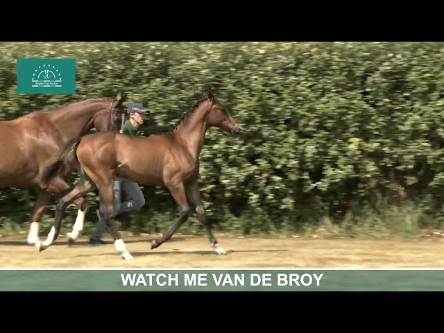 WATCH ME VAN DE BROY