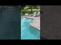 Basilisk Lizard Makes a Watery Escape || ViralHog
