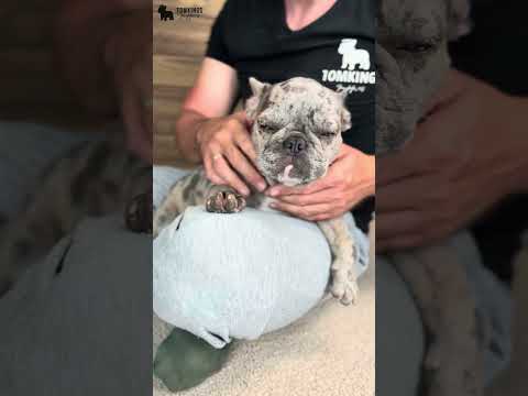 Video 4