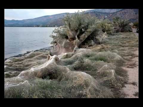 Aitoliko, Etoliko, Etolia-Acarnania, Greece, Αιτωλικού