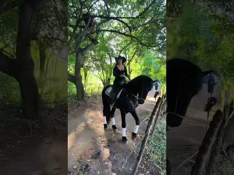 Desde muelle de los bueyes #nicaragua #caballos #costarica #baile #cowgirl