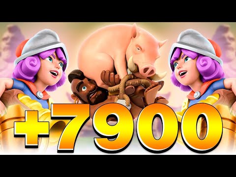 HOG 2.6 HARD SEASON +7900 - CLASH ROYALE