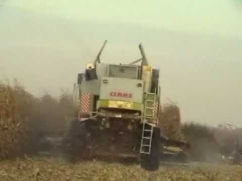 De Clercq Y.: Mais dorsen.