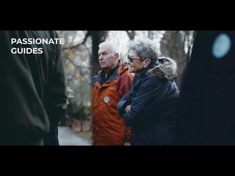 Best Krakow Tours with DiscoverCracow