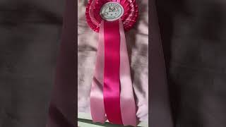 Download lagu That was my first time seeing Chanel lie down and first time getting a Rossetti mp3 Download lagu That was my first time seeing Chanel lie down and first time getting a Rossetti mp3