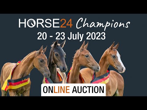 Trailer HORSE24 German Foal Championships 2023