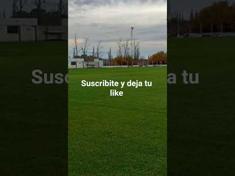 Deportivo Luis Beltrán de Rio Negro