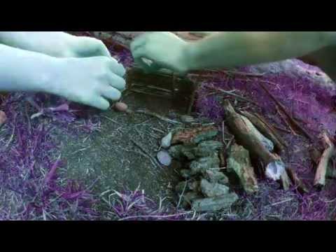 Bushwood Forest (Album: Oblium - Red Phase)