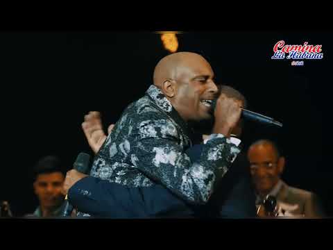 TAL VEZ VUELVAS A LLAMARME - MANDY CANTERO ft. ADALBERTO ALVAREZ Y SU SON | CAMINA LA HABANA #RR