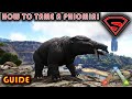 ARK HOW TO TAME A PHIOMIA 2020 - EVERYTHING YOU NEED TO KNOW ABOUT TAMING A PHIOMIA