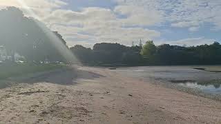 Cockle Bay Beach Walking Tour In Auckland New Zealand