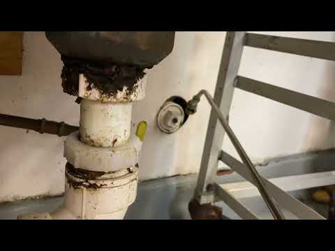 Piece of Wood Provides Harborage for Cockroaches in Perth Amboy, NJ