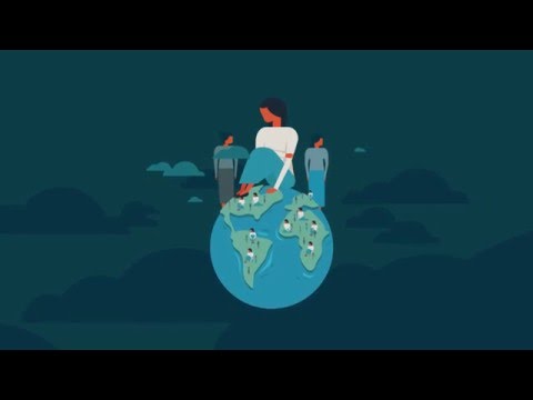 Paquete de servicios essenciales para mujeres y niñas que sufren violencia | Fondo de Población de las Naciones Unidas