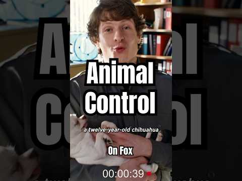 All episodes of Animal Control streaming on ​⁠@hulu now 🌞 #animalcontrol #animals #comedy #tvshow