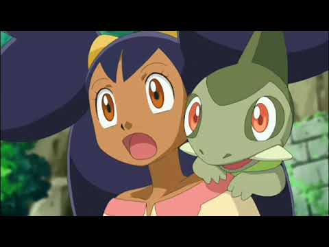 Team Rocket saves iris