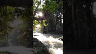 preview picture of video 'River Jumping Site @Panambean Village-North Sumatra.'